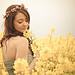 Fields of Gold